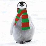 Greetings Card: Penguin