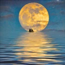 Greetings Card: Moonlight