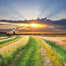 Greetings Card: Norfolk Broads Windmill