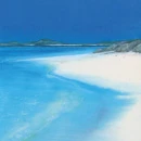 Greetings Card: Vibrant Vista
