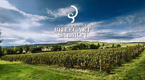 Billecart-Salmon Le Clos Saint-Hilaire Full Vertical 1995-2009 Hosted by Mathieu Billecart