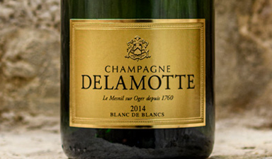 Delamotte Blanc de Blancs 2014 - Gift Box