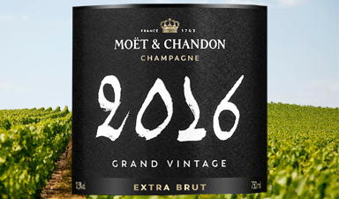 Moet & Chandon Grand Vintage Extra-Brut 2016 - Gift Boxed
