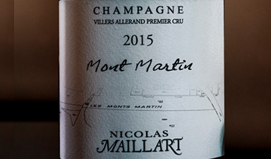 Nicolas Maillart Mont Martin 2015