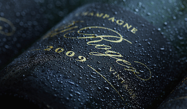 Pol Roger Brut Vintage 2009 - Gift Box