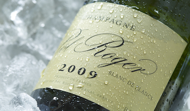 Pol Roger Blanc de Blancs 2009 - Gift Box